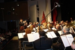 2008 - Novoletni koncert POPV