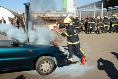 PIGD-vaja-2010-2