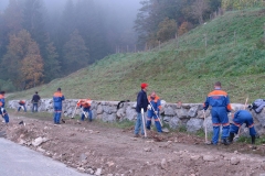 Udarniška-delovna-akcija-na-Golteh-3