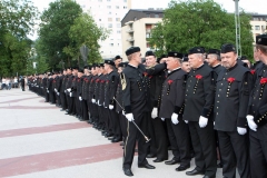 2011 - 51. Skok čez kožo