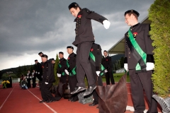 SKOK_2011-7108