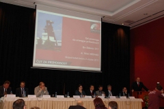 2011 - Energetski odmev