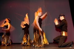 Dan-zena-OLE.-8.3.2011-14