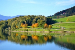 Gasilci-Premogovnika-Velenje-vadili-v-požarnem-rovu-119