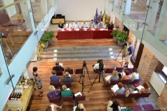 Novinarska-konferenca-11