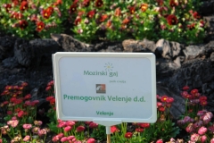 Srečanje-mednarodne-tehnične-skupine-za-premog-na-Golteh-104
