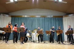 The-Moonlighting-orchestra-8