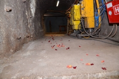 Zlata-poroka-160-metrov-pod-zemeljskim-površjem-35