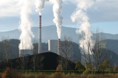 Cretnik-Silvo-Crno-zlato-spreminjamo-v-energijo