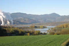 Speh-Zvonka-Nekoc-so-bila-polja