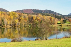 Vogrin-Joze-Jesenske-barve