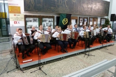 Novoletni-koncert-Harmonikarskega-orkestra-Barbara-PV-7