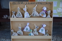 11.-Srečanje-koordinatorjev-Ekovrtcev-Slovenije-21